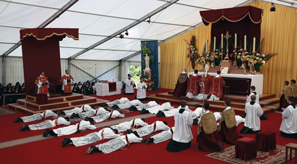 organizationTRADIZIONAL-2012