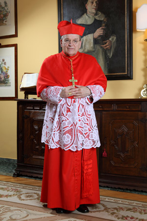 Official Portrait of Cardinal Burke. source