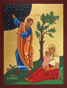 “As many descendants as the stars of heaven”