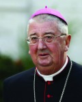 Archbishop Diarmuid Martin of Dublin, pictured in a 2015 photo, said the 2018 World Meeting of Families in Ireland is part of a broad program of renewal of the church's pastoral care for all families. (CNS photo/Paul Haring) See FAMILY-MEETING-IRELAND May 24, 2016.