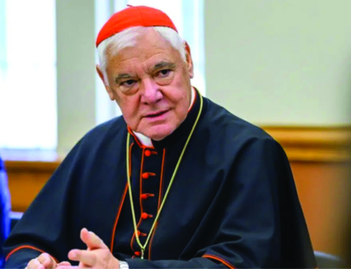 Cardinal Gerhard Müller: “Their goal is the transformation of the Church into a welfare organization”